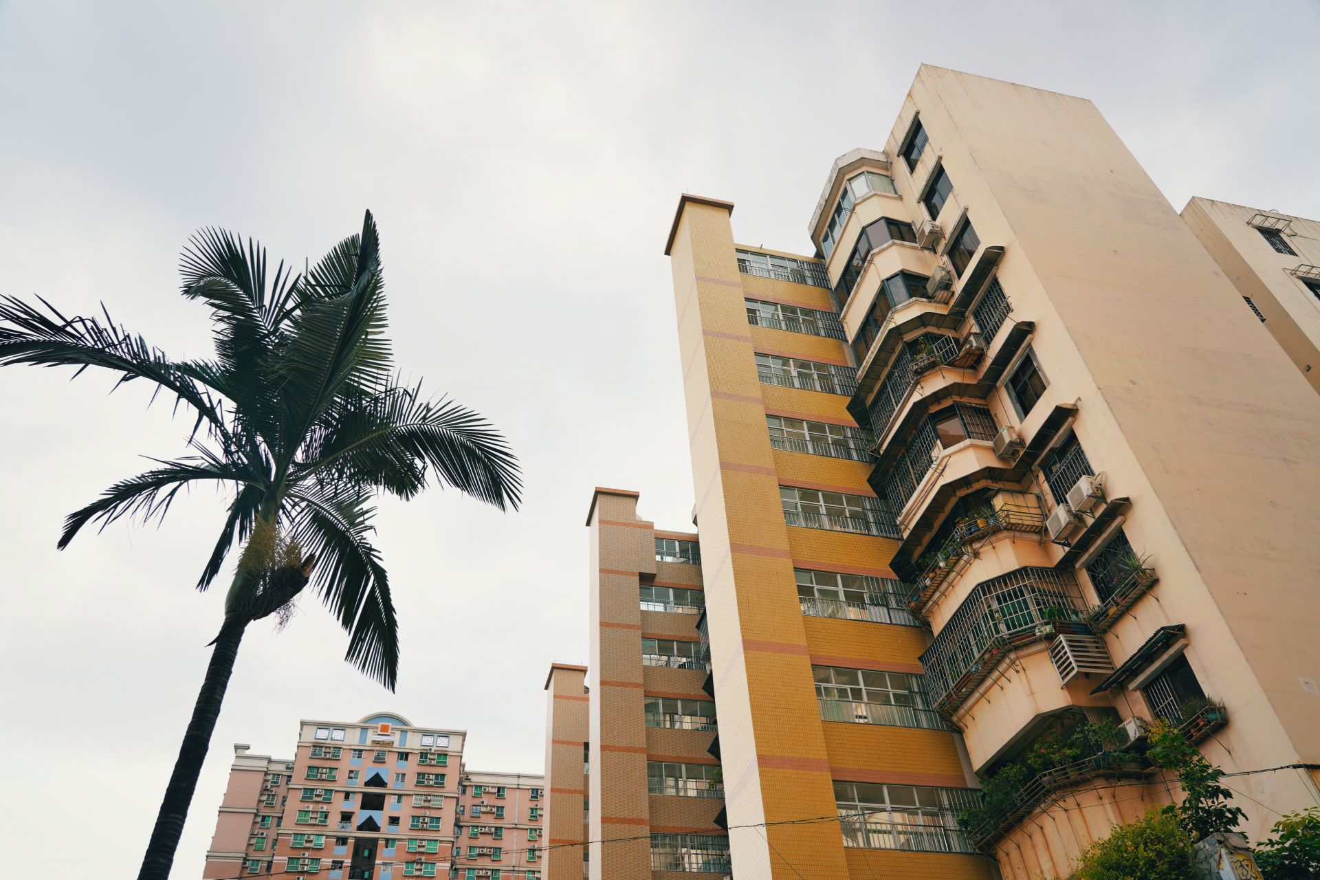 "再认识"鹤园小区,它是个有人情味的地方