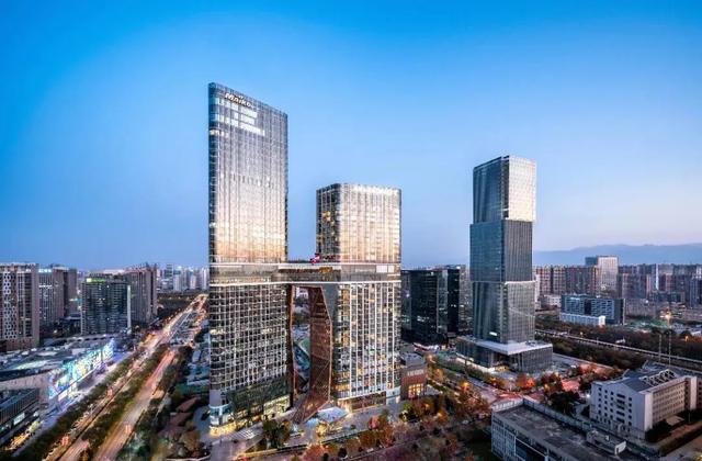 助力西安高新区建设迈科集团何金碧获得突出贡献人物称号