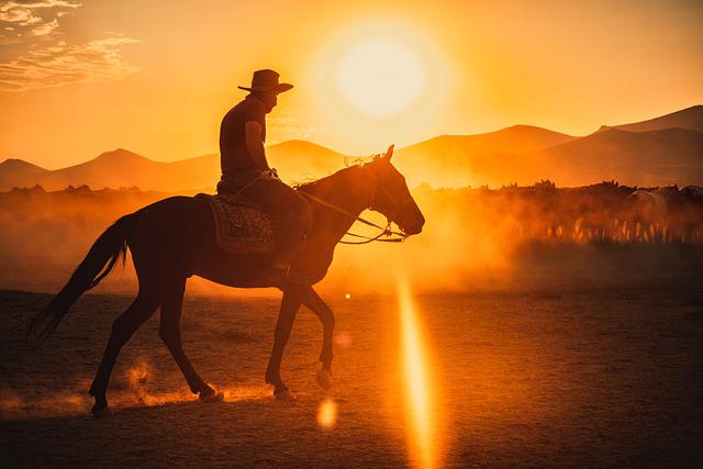 土耳其骑手落日余晖中策马扬鞭尘土飞扬自带特效