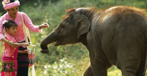 西双版纳心之所象的地方