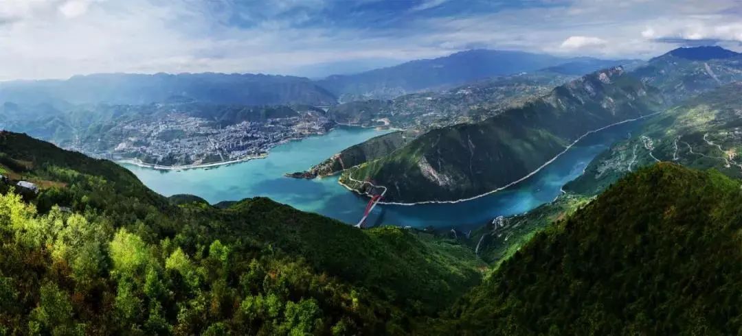 重庆巫山漫山的金果果百姓的摇钱树