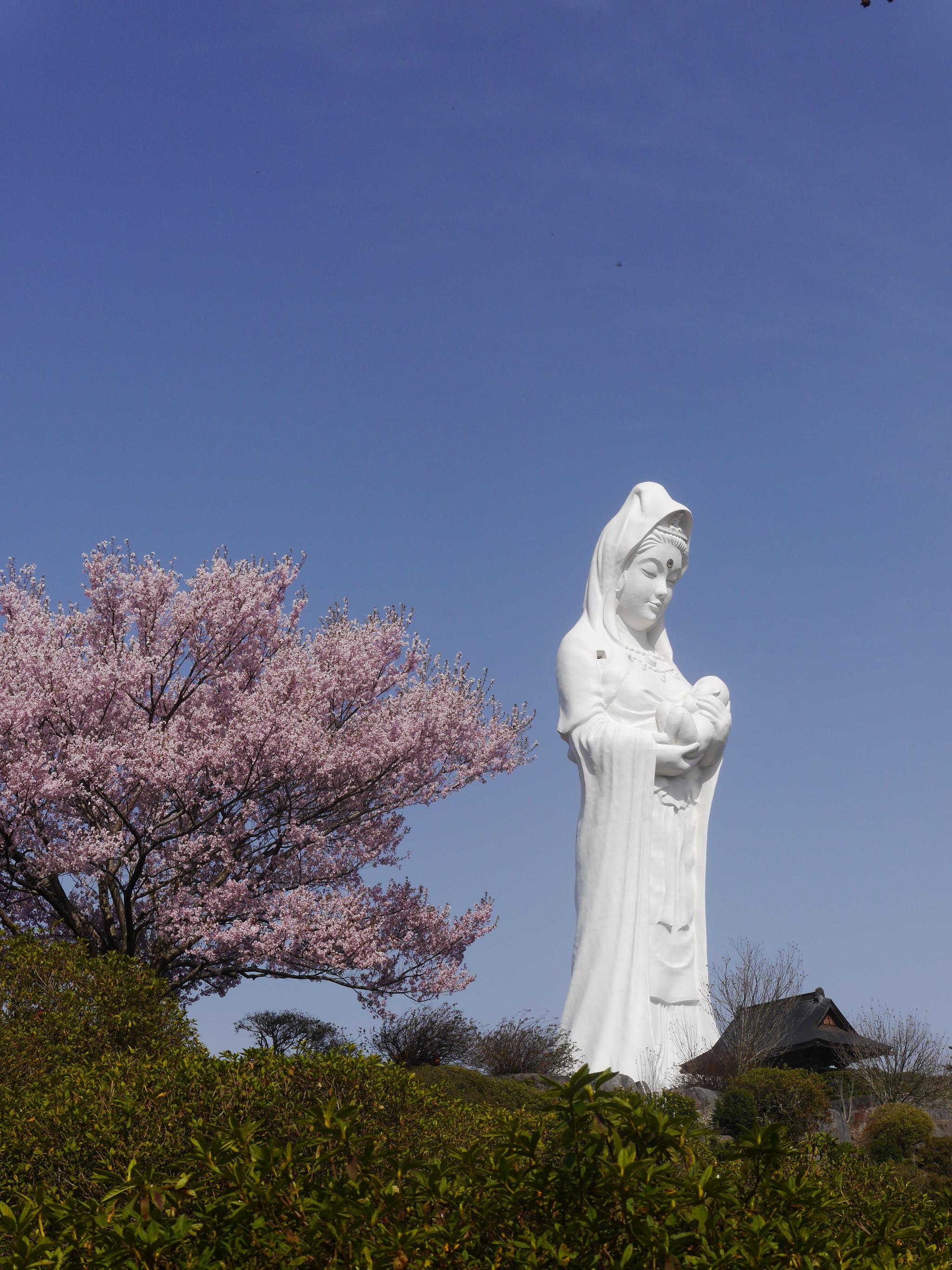 祈福疫情早日结束日本57米巨型观音像戴上口罩