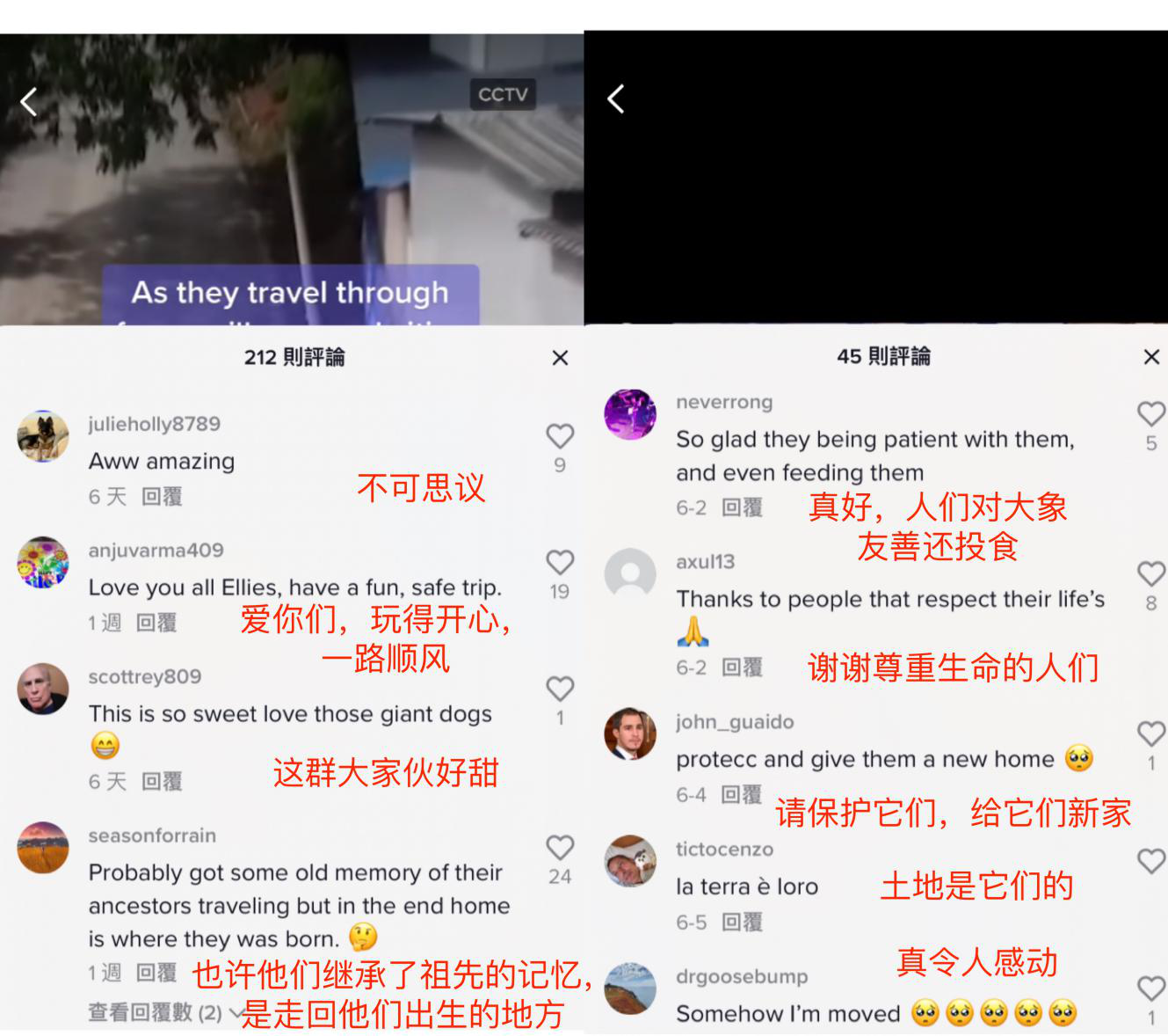tiktok网友评论