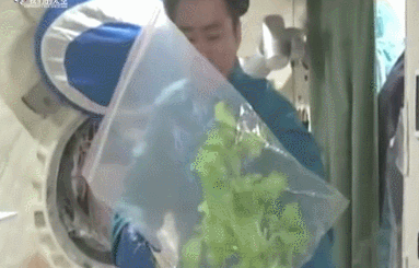 中国空间站“食堂”有川菜？到哪都是干饭人休闲区蓝鸢梦想 - Www.slyday.coM