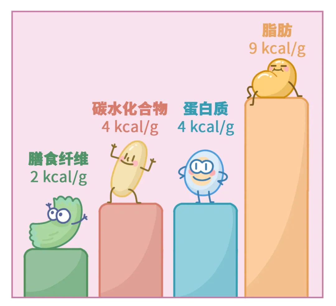 很多人都没吃够的营养素,其实可以帮你减肥