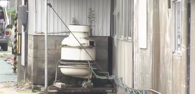 日本富山市超1500人饮用问题牛奶致食物中毒 涉事企业遭停业处分休闲区蓝鸢梦想 - Www.slyday.coM