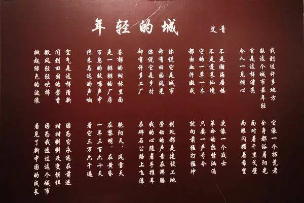 听尼格买提为你讲述新疆驻军集体转业之后的故事红色印记第65集