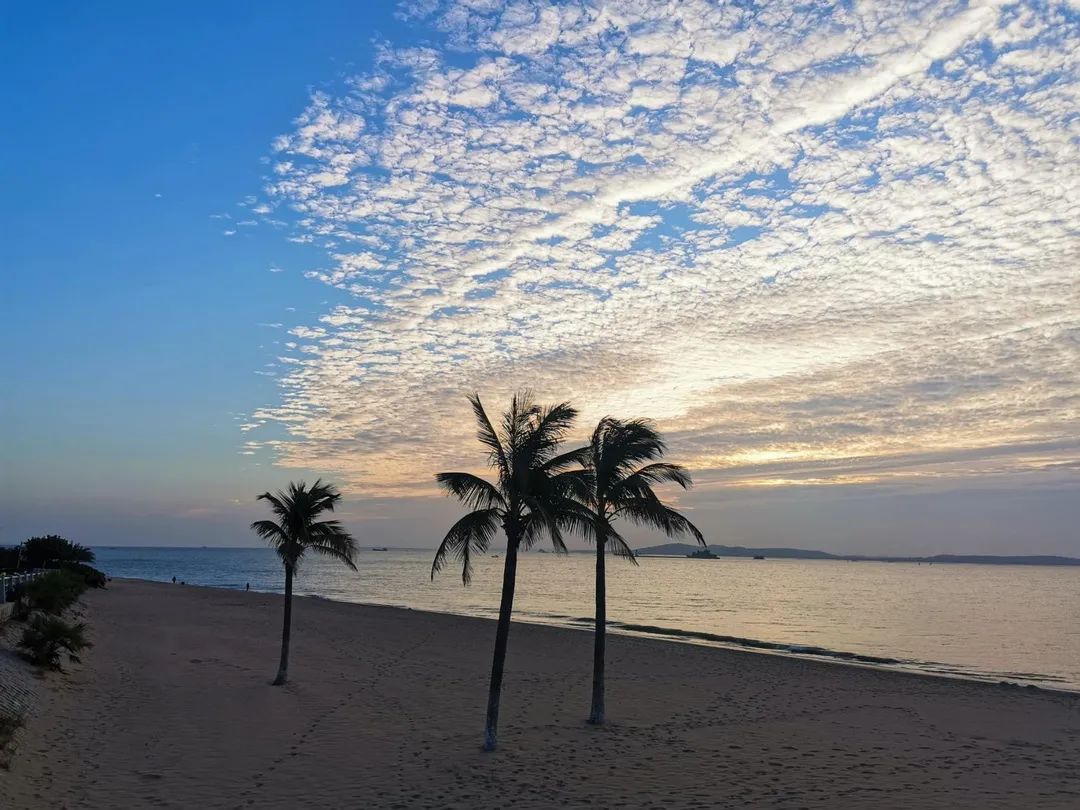 厦门好玩的地方排行榜_2021厦门有什么好玩的厦门好玩的地方有哪些(2)