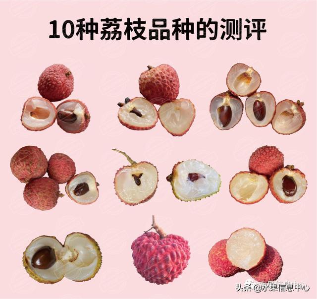 10款荔枝对比测评:桂味、糯米糍、新球蜜荔、无核荔枝等|妃子笑|对比测评|荔枝_新浪新闻
