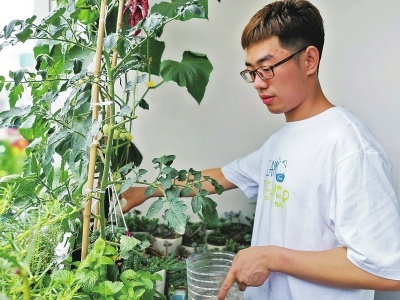 大学“宿舍版”农场来了！ 周口大学生把阳台打造成“菜地”休闲区蓝鸢梦想 - Www.slyday.coM