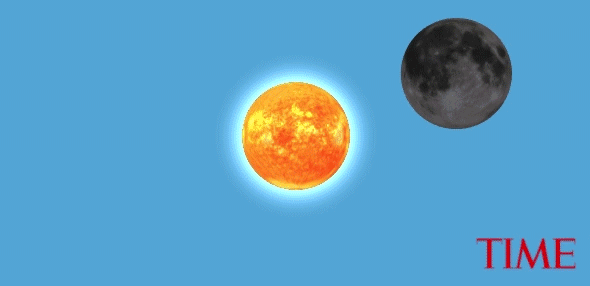 590_286gif 动态图 动图