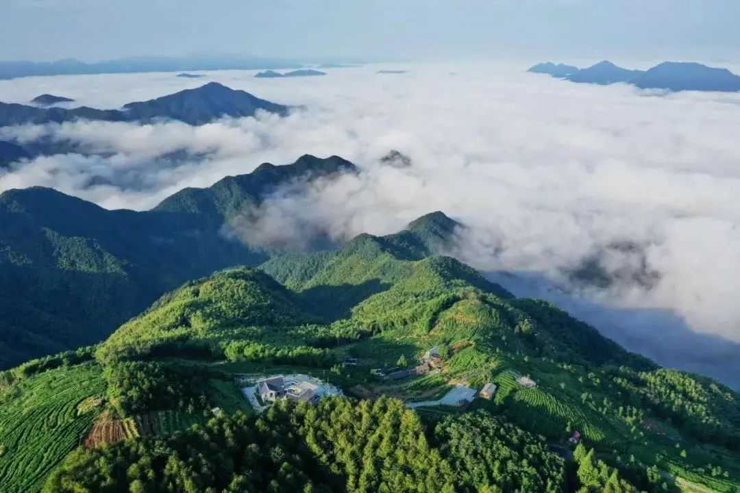 现代版富春山居图,请你体验~|富阳市|开发区|新四军_新浪新闻