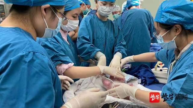 护理手记｜当护士“大朋友”遇上患者“小朋友”……休闲区蓝鸢梦想 - Www.slyday.coM