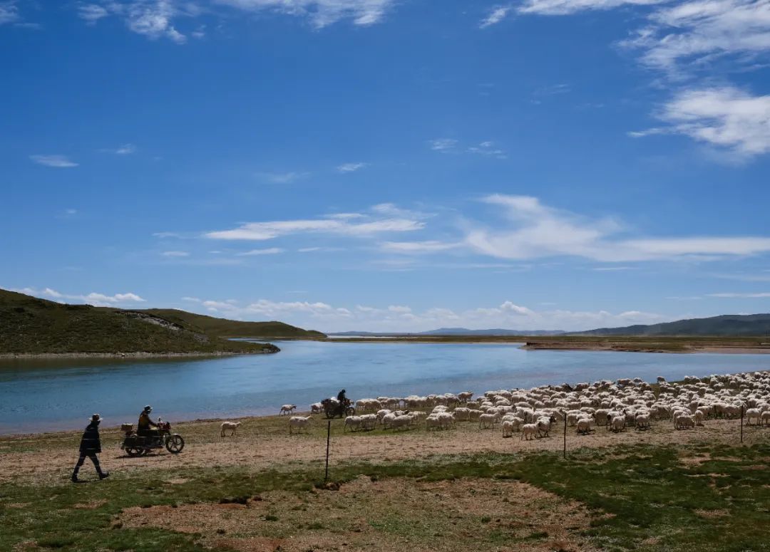 行走黄河源草地神州风物