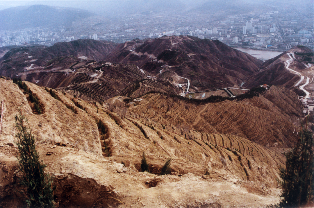 荒山造林70载童山濯濯披新绿兰州红色印记微纪录片之荒山披绿今起播出