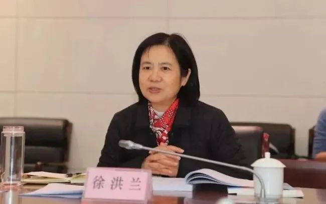 瞒报房产女副市长被双开