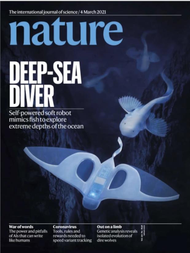 《自然》杂志 Self-powered　soft　robot　in　the　Mariana　Trench.Nature591,　66–71　(2021)。图片来源：《自然》杂志