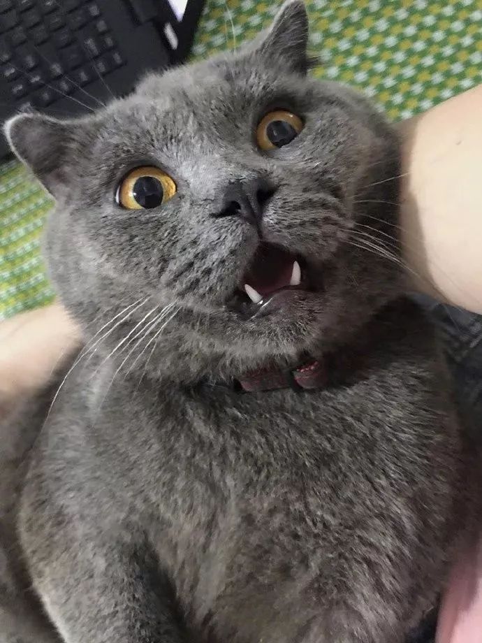 网友:喝假酒了吧!