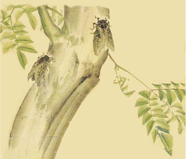 诗词日历 | 所见|诗经|袁枚|诗词_新浪新闻