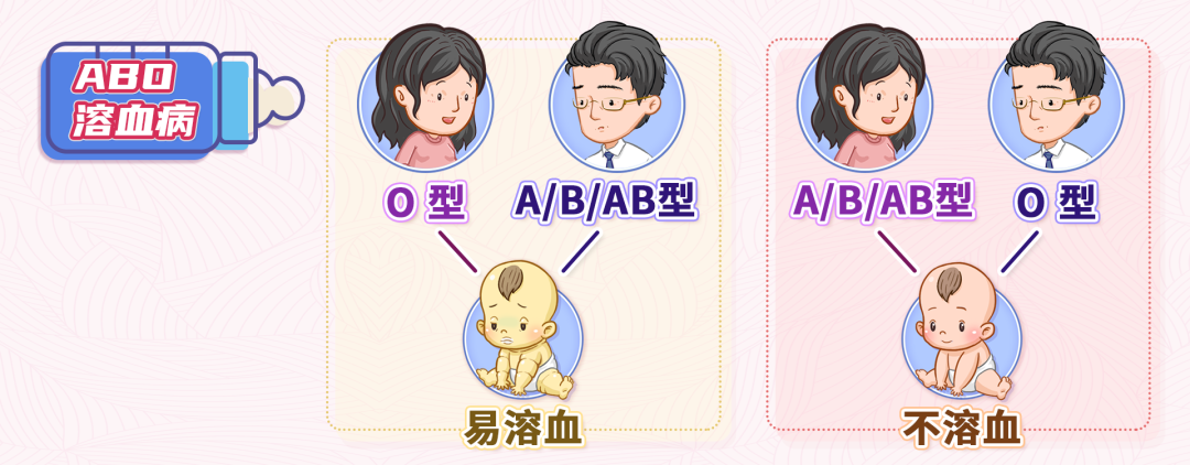 新生儿溶血病_新浪新闻