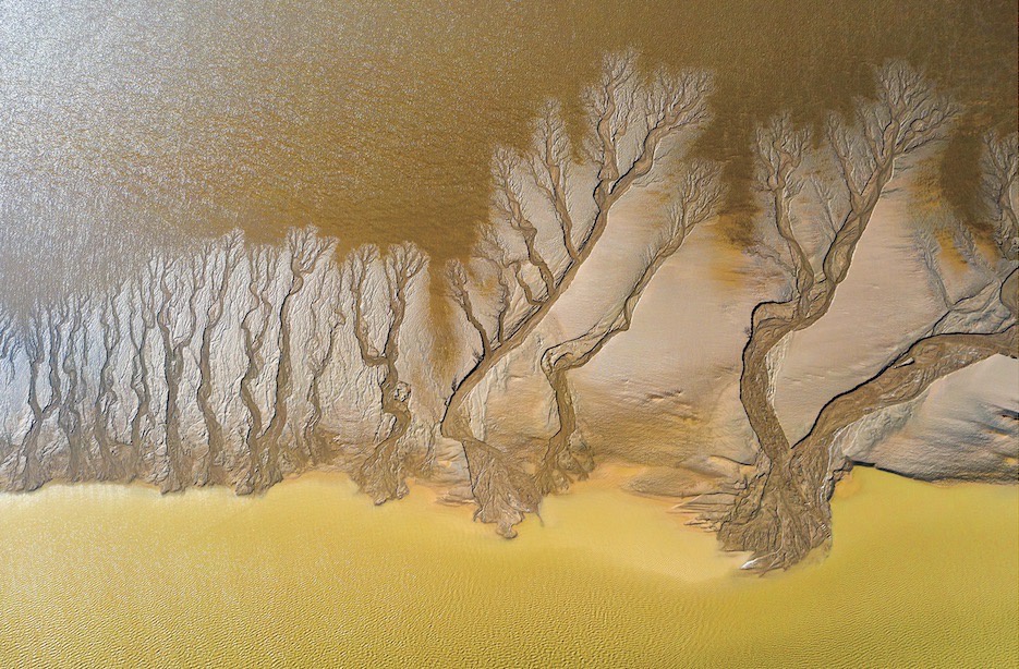 辐射状的沙洲像一把巨大的折扇，潮汐是充满创意的艺术家。东台文旅图