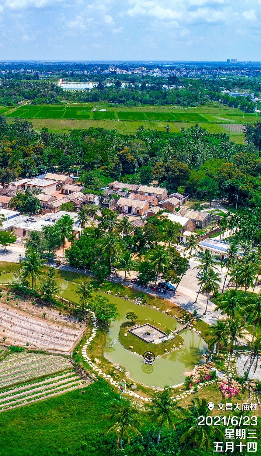 每日一景文昌大庙村