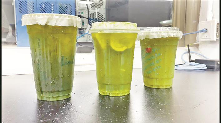 绿绿的手打柠檬茶真的是自然绿这款网红饮品检出人工合成色素日落黄