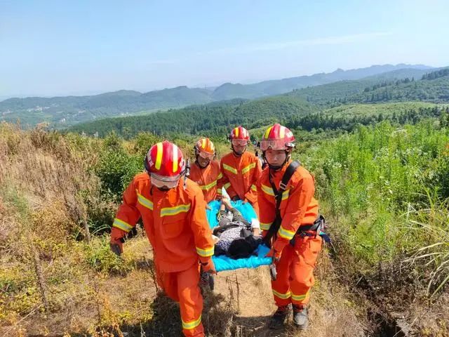 忠心护主！湖南一女子跌落5米深洞后，她的大白狗也跟着跳了下去休闲区蓝鸢梦想 - Www.slyday.coM