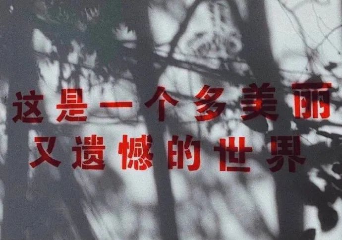 支棱起来这真是一个及其美好又充满遗憾的世界