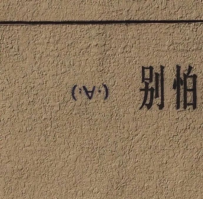 支棱起来这真是一个及其美好又充满遗憾的世界