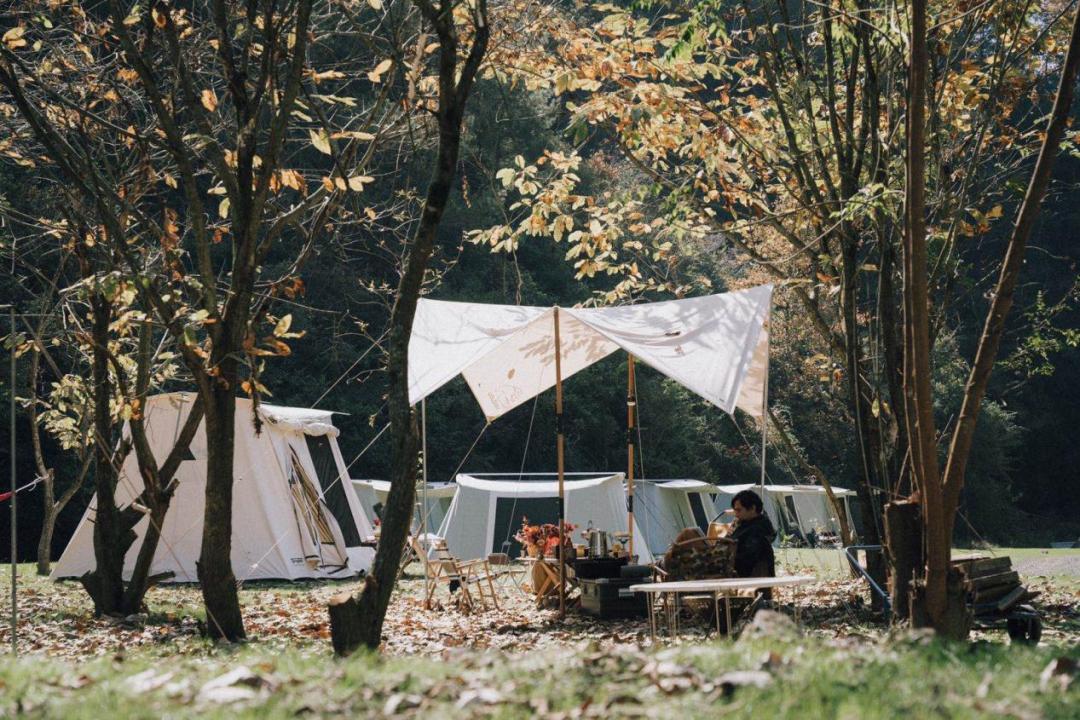 荒野召唤好玩的露营真的很贵吗