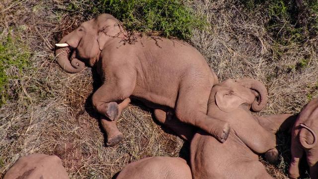 跟着大象逛云南象滇记⑤昆明象伴而生的地方