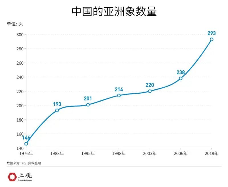 外国网友痴迷中国大象好多天了:从来不知道大象躺着睡觉,太可爱