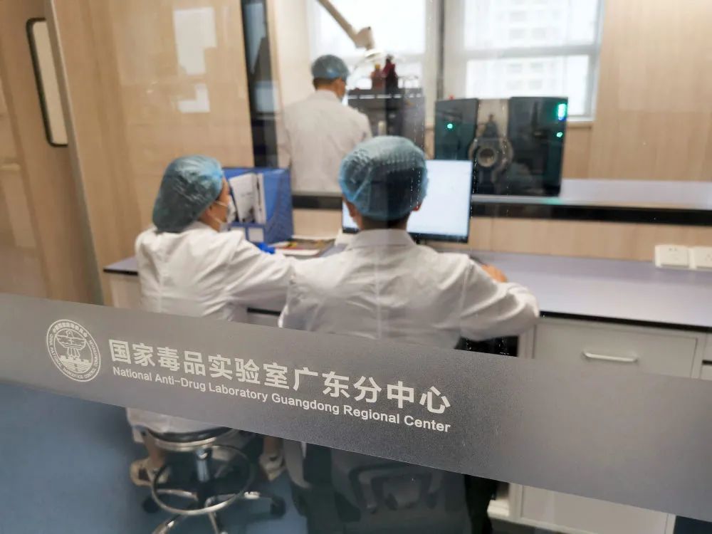 国家毒品实验室广东分中心的研究人员利用电脑对仪器检测的数据进行分析（6月11日摄）。新华社记者 毛鑫 摄