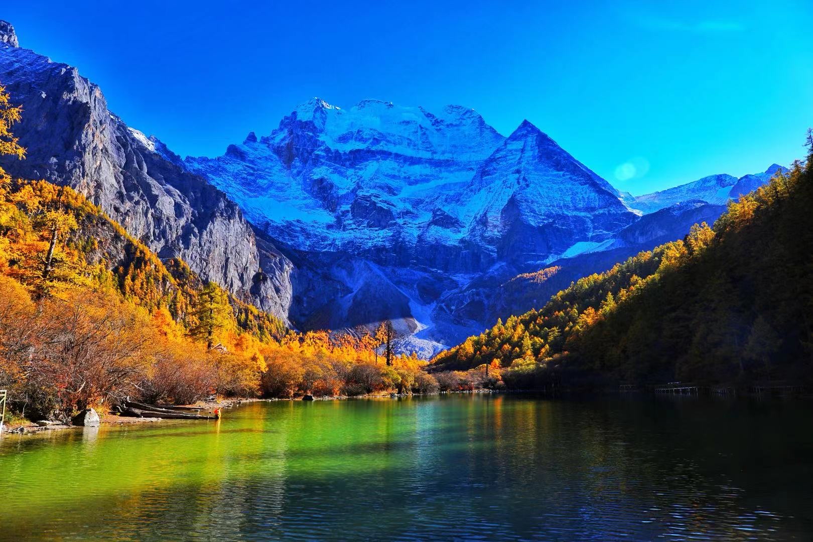 让世界看见稻城亚丁走进成都油画展为期两天免费观展