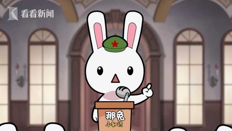 夜线约见一只兔子的百年梦想