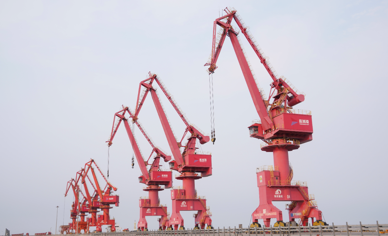 射阳面朝大海凭风起舞吹响风电产业集结号