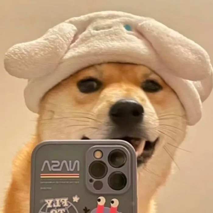 头像|单身贵族专属头像