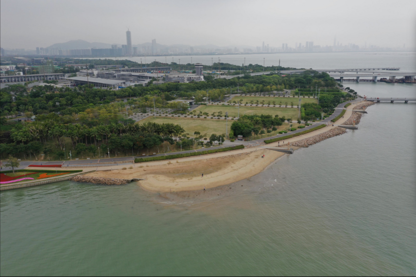 深圳湾人工沙滩要来了?请你提意见!