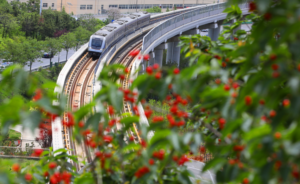 我看过千山和万水,我踏遍天南和地北,如今乘着最美地铁线…蓝朋友,我
