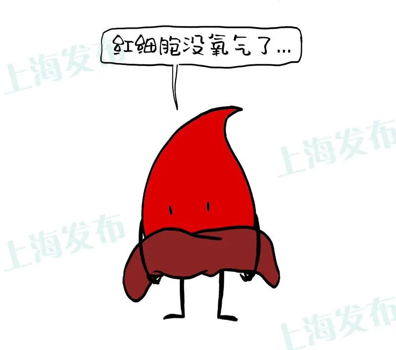 医聊心脏不好为啥人会肿血液工作路线告诉你