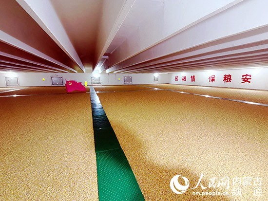 一粒健康粮的智能化仓储|粮食|乌兰察布|智能化_新浪新闻