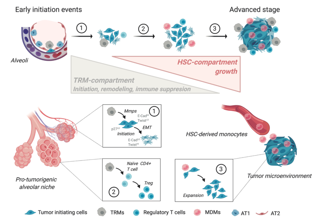 宇航员太空驻留影响 航天员返回地球为何被抬