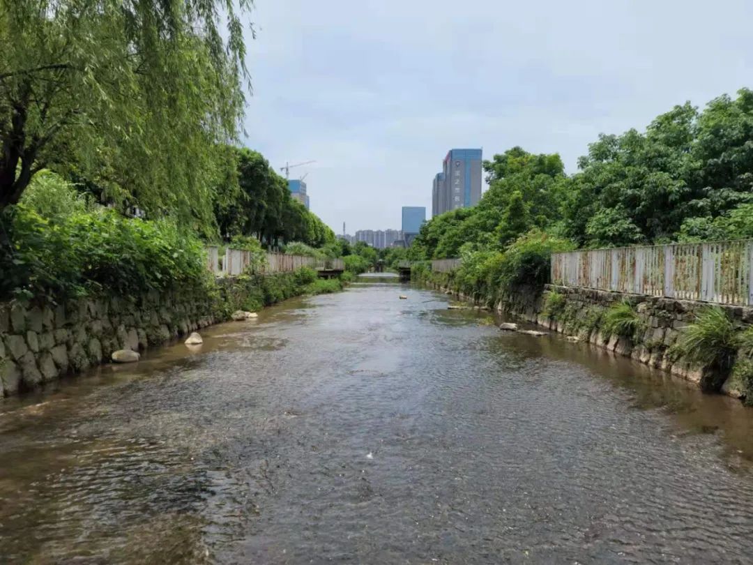 多措并举肖河雷锋河再现碧水清流