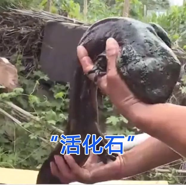 毕业典礼秒变演唱会，青岛大学毕业生开口惊艳全场休闲区蓝鸢梦想 - Www.slyday.coM