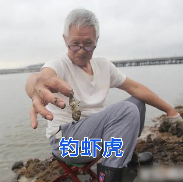 毕业典礼秒变演唱会，青岛大学毕业生开口惊艳全场休闲区蓝鸢梦想 - Www.slyday.coM