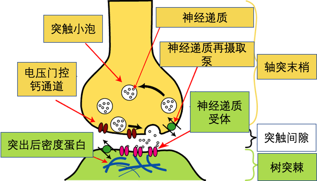 亲爱的我想开启一场有关抑郁症的对话