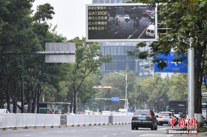 资料图:昆明街头的电子屏曝光不礼让斑马线车辆。中新社记者 任东 摄