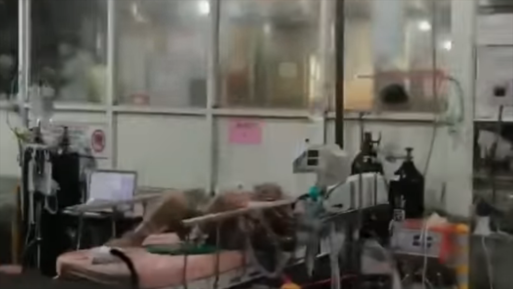 病人在台北医院急诊外的临时棚内（图片来源：中时新闻网）