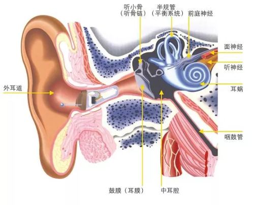 童年的摇摇车，随记忆一直晃到现在休闲区蓝鸢梦想 - Www.slyday.coM